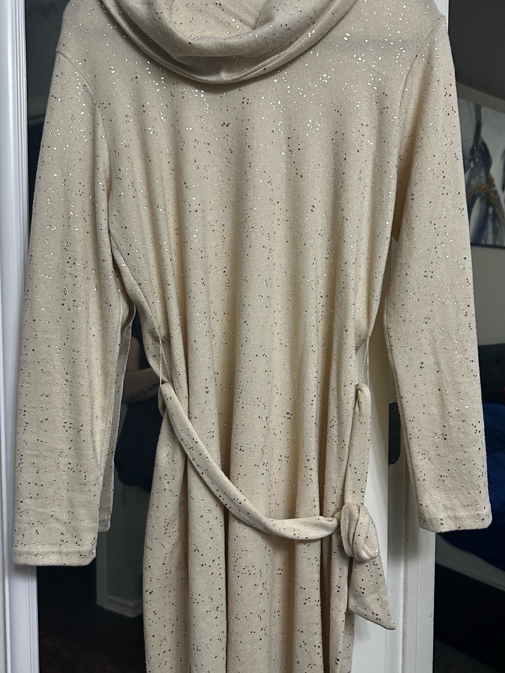 Long Sleeve Tie-Waist Sparkle Dress in Beige